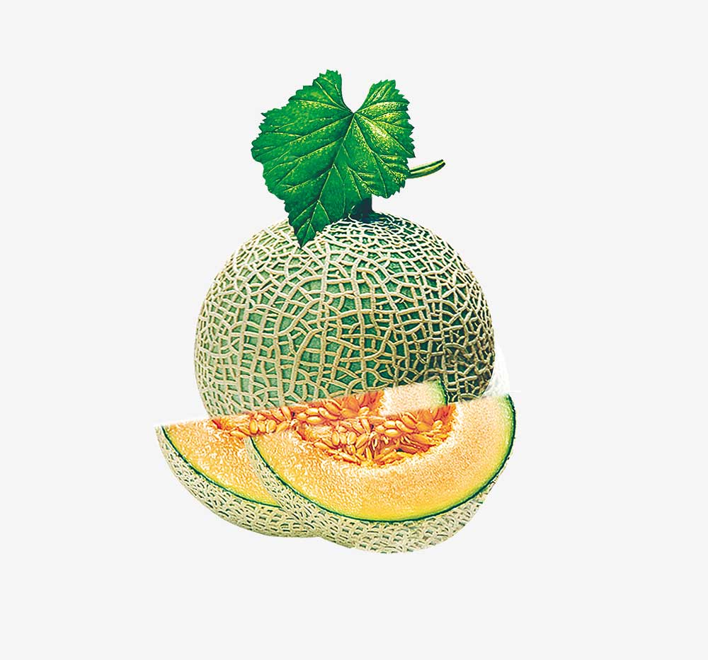 Muskmelon 1Kg
