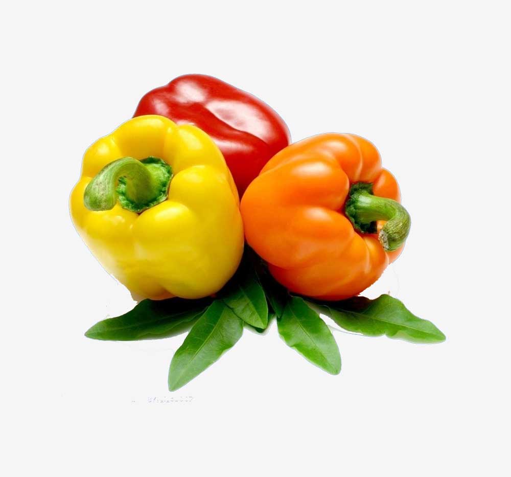 Capsicum 1Kg