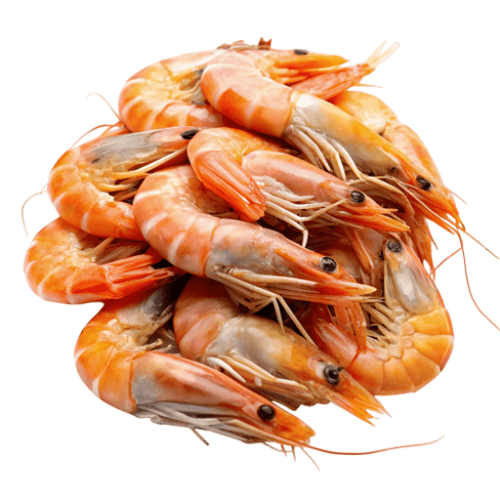 Shrimp 1kg