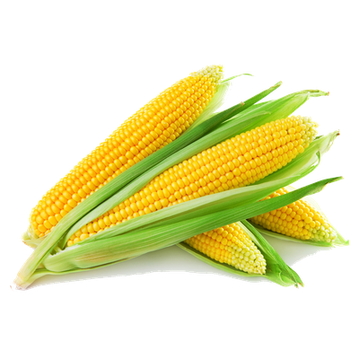 Sweet Corn 1Kg