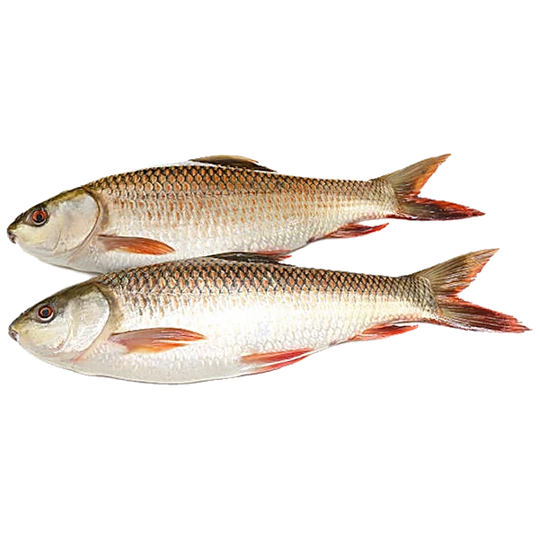 Desi Rohu Fish 1Kg