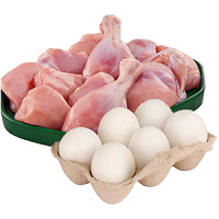 Meat & Egg