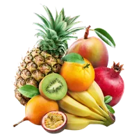 Fruits